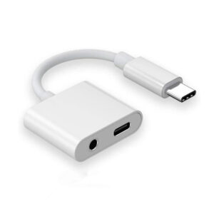 2-in-1 C Type Adapter Usb C 3.5mm Jack Earphone Audio Cable For Galaxy S21 S20 Fe Note 20 Ultra Note 10 Plus type*C+3.5MM interface